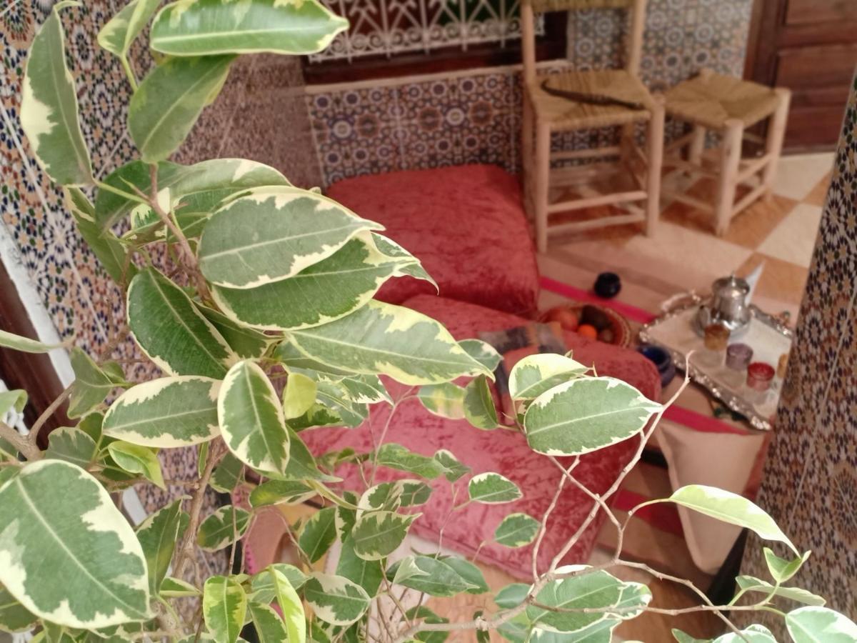 Riad White House Marrakesh Eksteriør billede